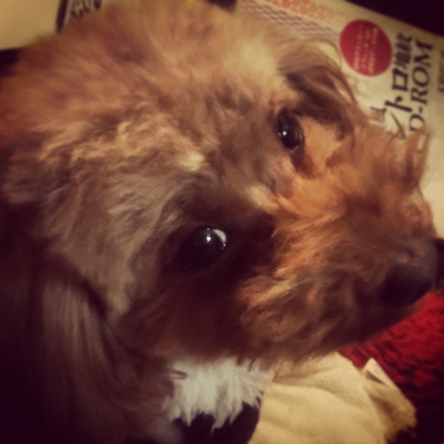 dkstudio Instagram Image