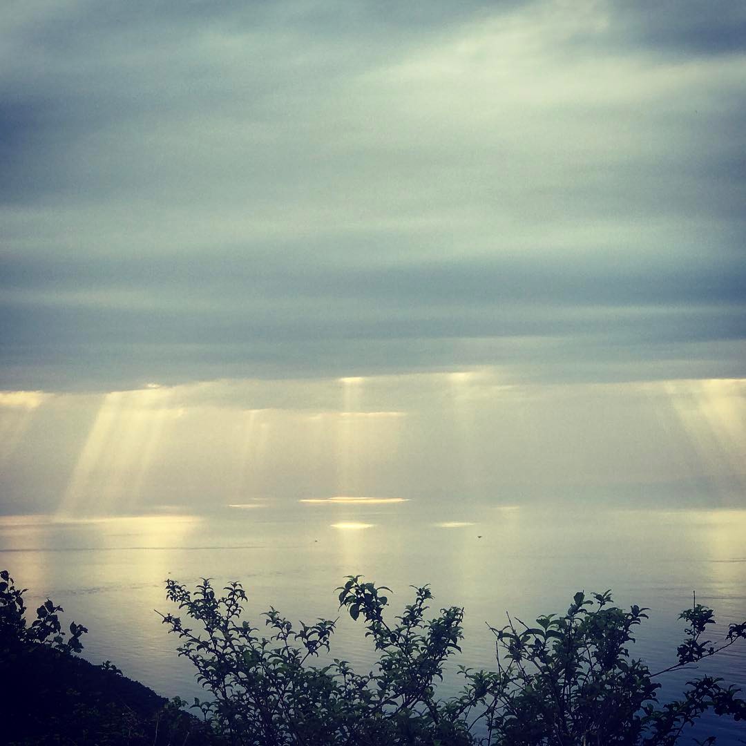 dkstudio Instagram Image