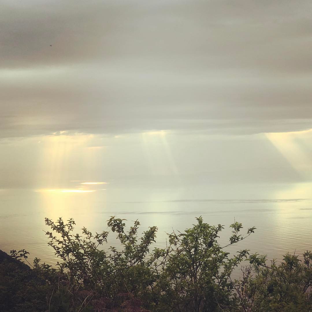 dkstudio Instagram Image