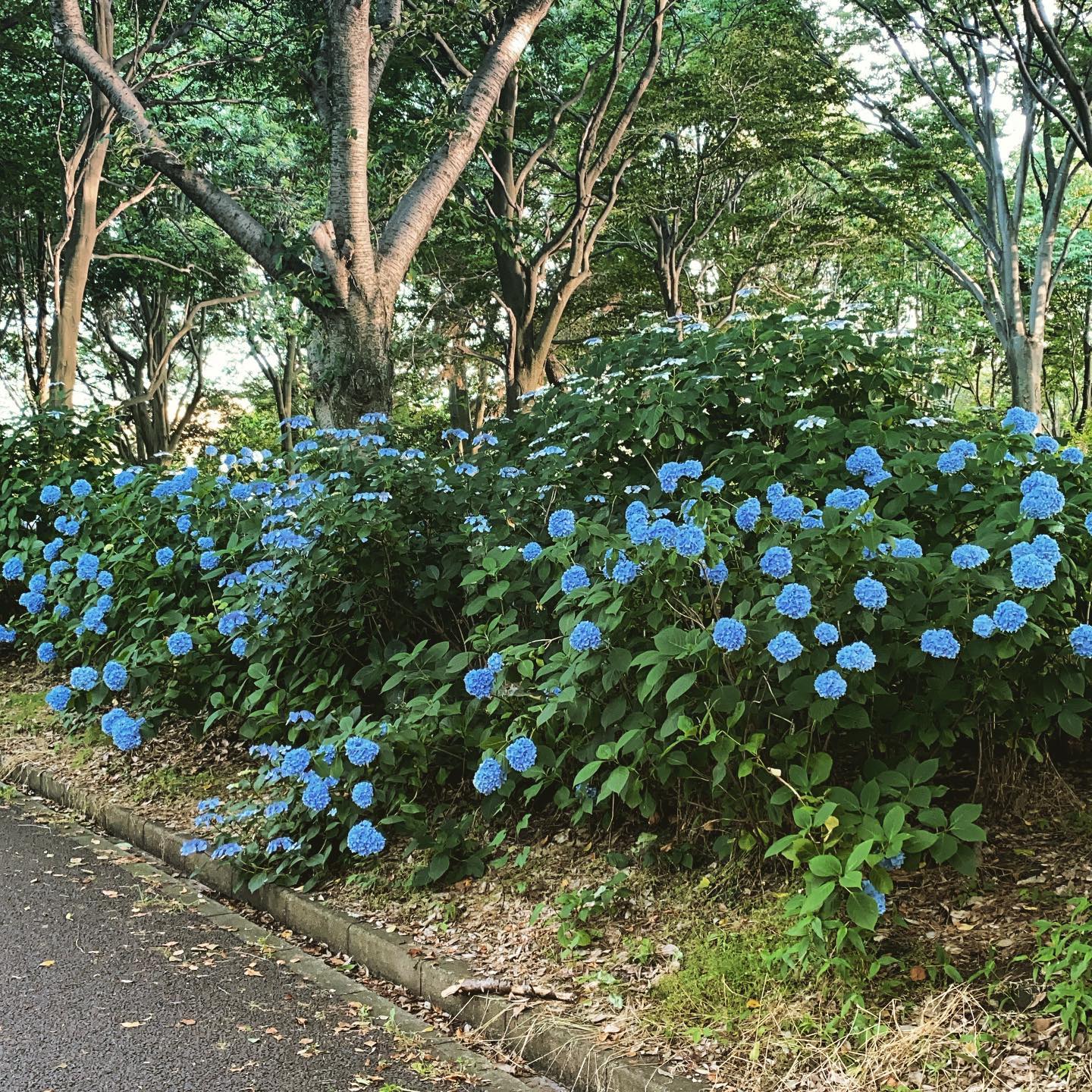 dkstudio Instagram Image