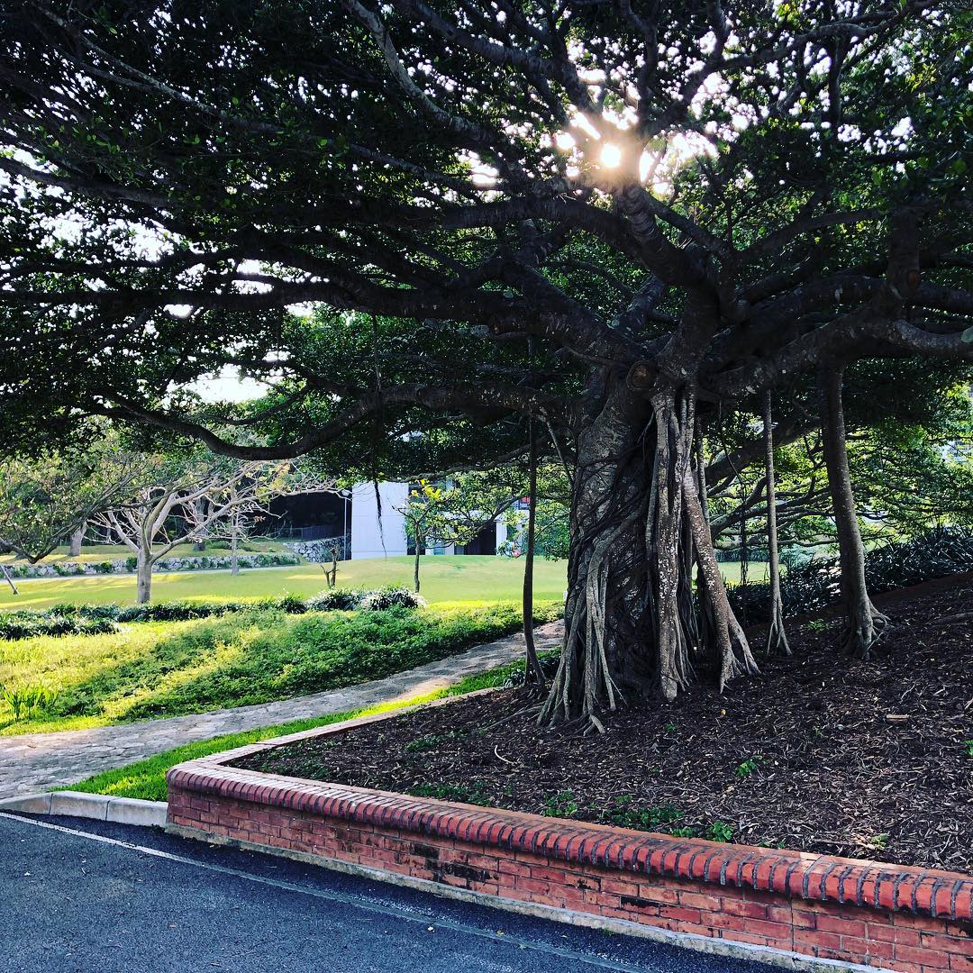 dkstudio Instagram Image