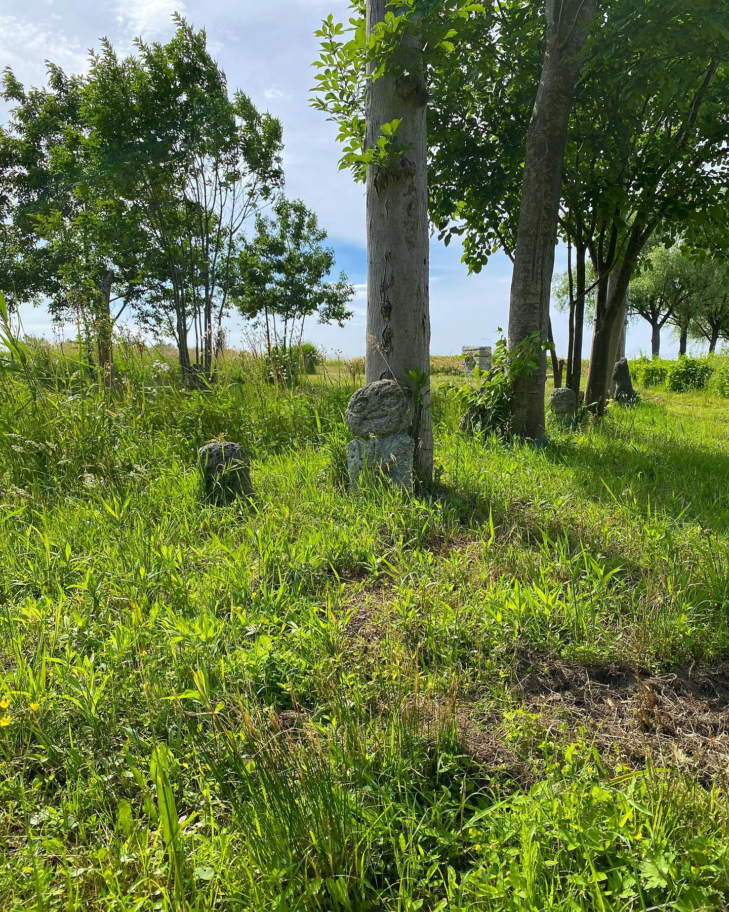 dkstudio Instagram Image