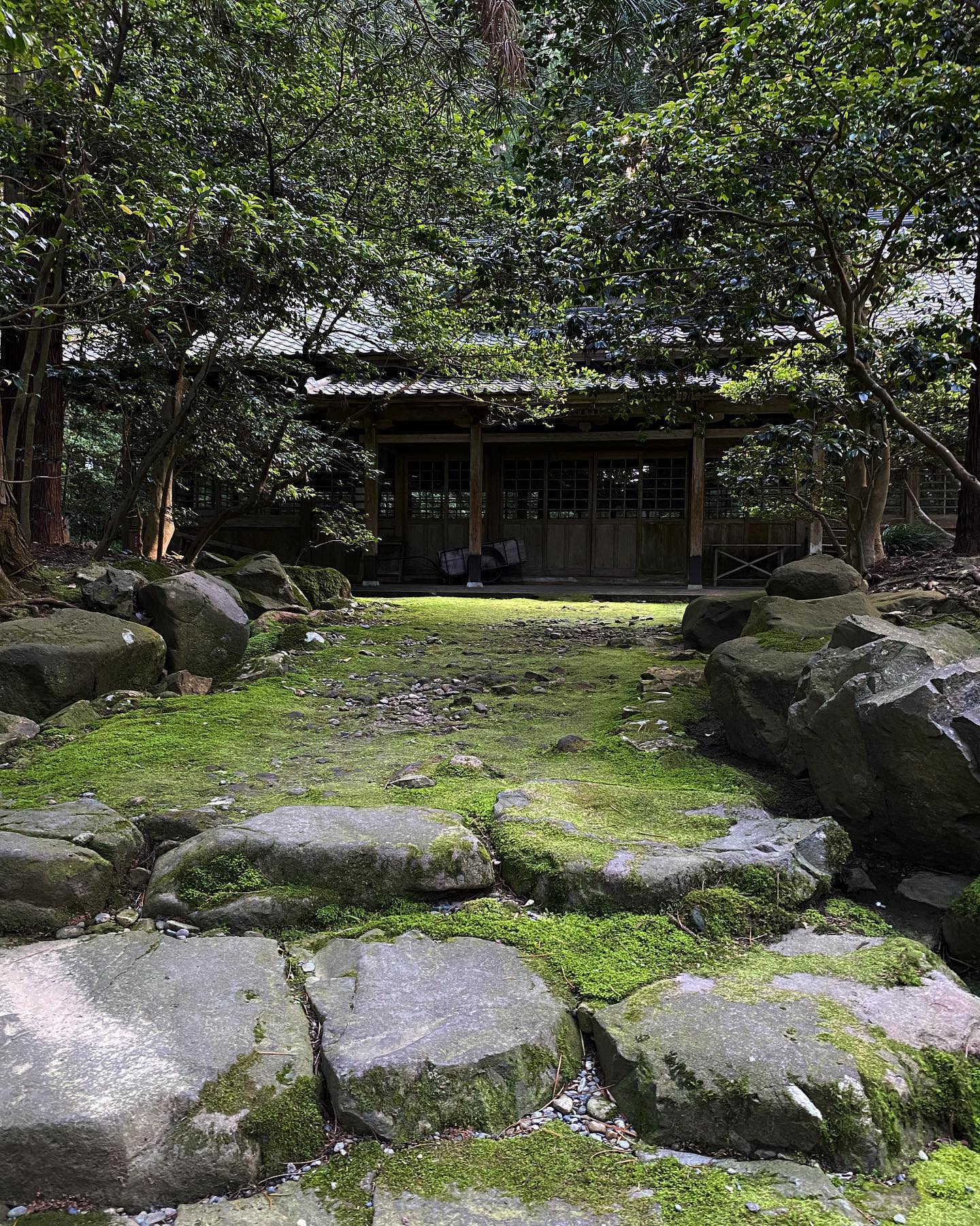 dkstudio Instagram Image