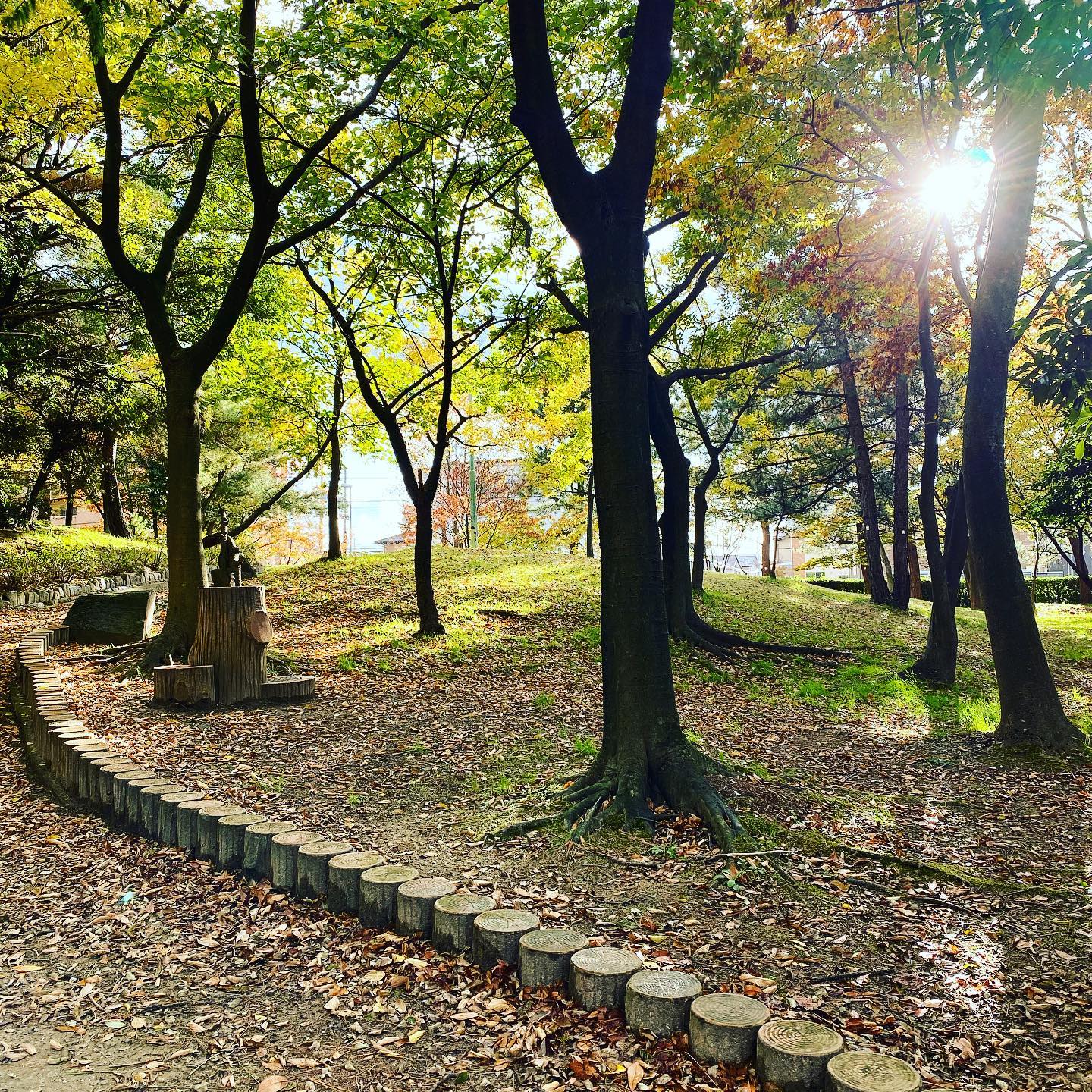 dkstudio Instagram Image